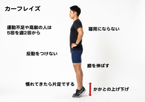カーフレイズ
