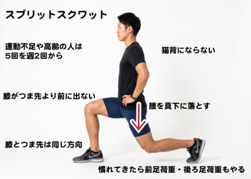 スプリットスクワット